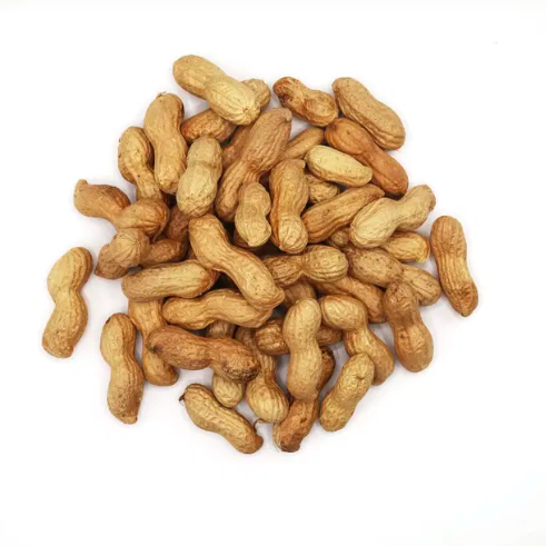 [APP00013] Arachides coque grillées 400g